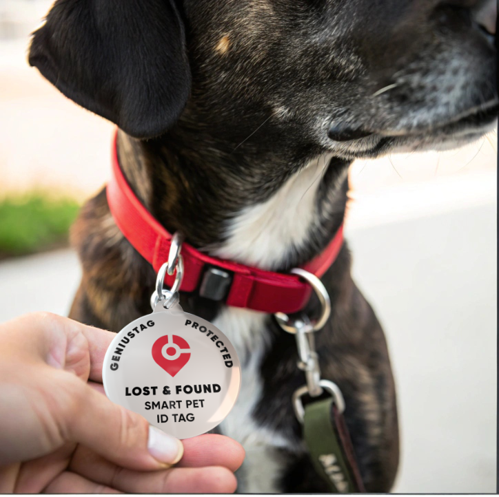 Attach GeniusTag to collar